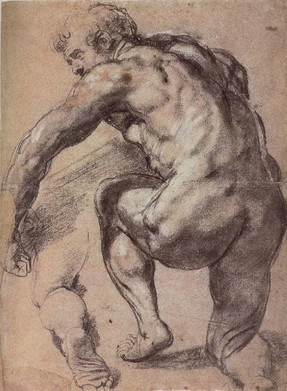 Peter Paul Rubens Portrait of Man oil painting image